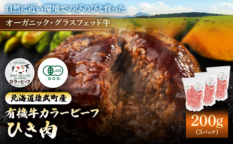 雄武産有機牛カラービーフ ひき肉(200gx3P) | 牛肉 オーガニック グラスフェッド 放牧 有機JAS 有機牛 国産牛カラービーフ ひき肉 200g 3パック 600g カラービーフ 有機JAS認定牧草使用 安心 安全 脂肪控えめ 低脂肪 胃もたれしにくい 自然 大自然 オホーツク 有機畜産牛 有機牧草 環境に優しい 健康 広大な大地 牧草飼育牛 オーガニック牧草 食品 グルメ お肉 北海道産 雄武町産 冷凍 お取り寄せ 雄武町観光協会 北海道 雄武町 雄武[01132]