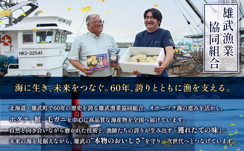 北海道雄武町産ほたて貝柱4S1kg（冷凍）【0711604】