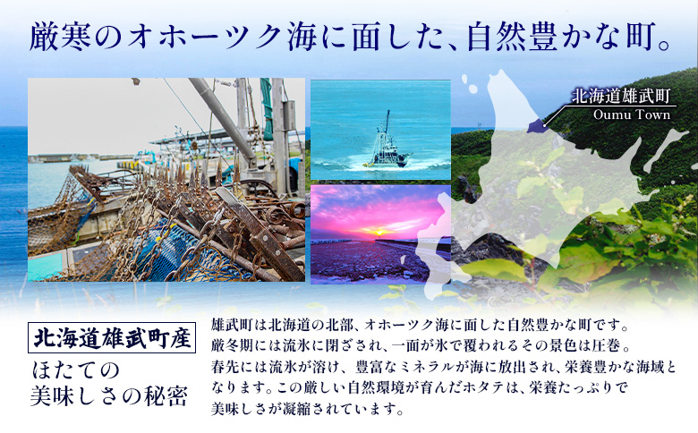 北海道雄武町産ほたて貝柱5S 1kg（冷凍）【0711804】