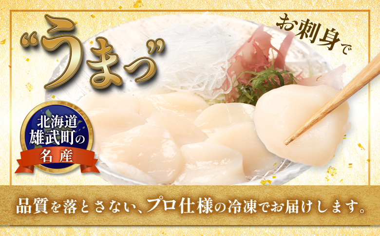 北海道雄武町産ほたて貝柱5S 1kg（冷凍）【0711804】