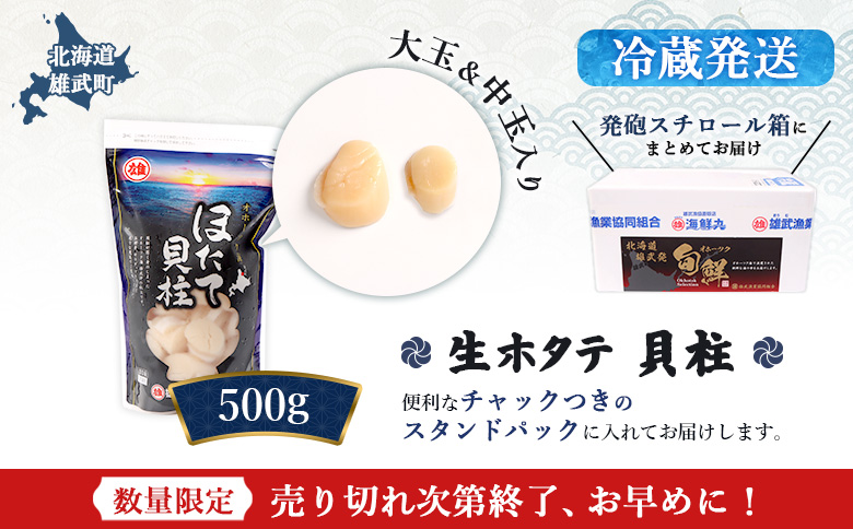 【関東限定！生ほたて】《期間限定》北海道雄武産 生玉ほたて500g塩水パック（冷蔵） | 関東限定 生玉ホタテ 生ホタテ 大粒 ホタテ 帆立 ほたて 新鮮 500g 生 冷蔵 塩水パック オホーツク 刺身 魚貝 魚介 海鮮 雄武漁業協同組合 お取り寄せ 北海道 雄武町 雄武【0712503】