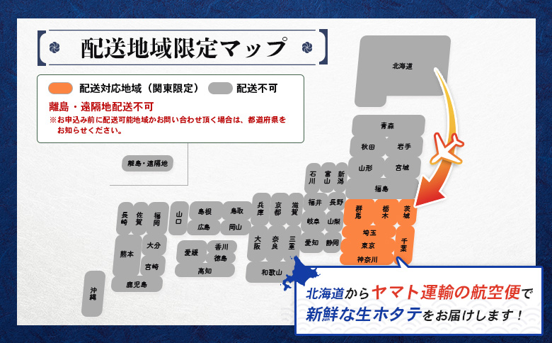 【関東限定！生ほたて】《期間限定》北海道雄武産 生玉ほたて500g塩水パック（冷蔵） | 関東限定 生玉ホタテ 生ホタテ 大粒 ホタテ 帆立 ほたて 新鮮 500g 生 冷蔵 塩水パック オホーツク 刺身 魚貝 魚介 海鮮 雄武漁業協同組合 お取り寄せ 北海道 雄武町 雄武【0712503】