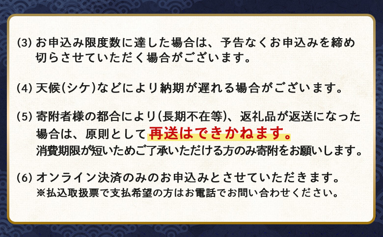 【関東限定！生ほたて】《期間限定》北海道雄武産 生玉ほたて500g塩水パック（冷蔵） | 関東限定 生玉ホタテ 生ホタテ 大粒 ホタテ 帆立 ほたて 新鮮 500g 生 冷蔵 塩水パック オホーツク 刺身 魚貝 魚介 海鮮 雄武漁業協同組合 お取り寄せ 北海道 雄武町 雄武【0712503】