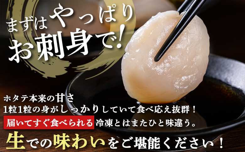 【関東限定！】北海道雄武町産　生玉ほたて500g塩水パック（冷蔵）｜関東限定 生玉ホタテ 生ホタテ　大粒 ホタテ 帆立 ほたて 新鮮 500g 生 冷蔵 塩水パック オホーツク 北海道 雄武町 雄武 刺身 魚貝 魚介 海鮮【07125】