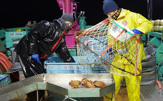 北海道オホーツク 海産 訳あり　浜ゆで毛ガニ　2kg（冷凍）| 毛蟹 毛ガニ 毛がに　蟹 かに カニ 2kg オホーツク産 雄武町 雄武産 ふるさと納税 雄武 海産 海鮮 訳あり 浜茹で 冷凍【07129】