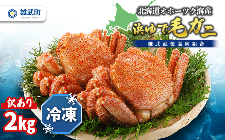 北海道オホーツク 海産 訳あり　浜ゆで毛ガニ　2kg（冷凍）| 毛蟹 毛ガニ 毛がに　蟹 かに カニ 2kg オホーツク産 雄武町 雄武産 ふるさと納税 雄武 海産 海鮮 訳あり 浜茹で 冷凍【07129】