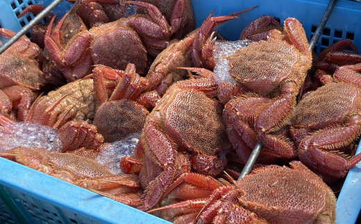 北海道オホーツク 海産 訳あり　浜ゆで毛ガニ　2kg（冷凍）| 毛蟹 毛ガニ 毛がに　蟹 かに カニ 2kg オホーツク産 雄武町 雄武産 ふるさと納税 雄武 海産 海鮮 訳あり 浜茹で 冷凍【07129】