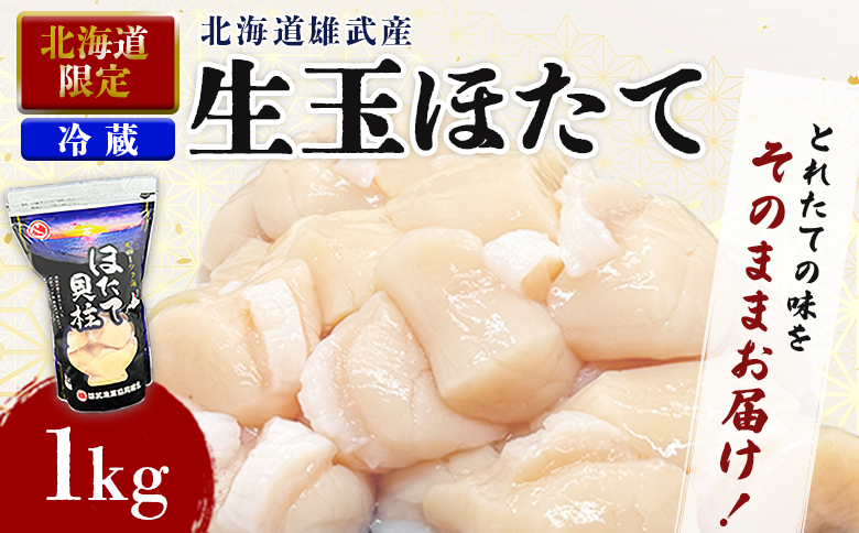 【北海道限定！】北海道雄武町産　生玉ほたて500ｇ×2塩水パック（冷蔵）｜北海道限定 生玉ホタテ 生ホタテ　大粒 ホタテ 帆立 ほたて 新鮮 500g×2 1ｋg 生 冷蔵 塩水パック オホーツク 北海道 雄武町 雄武 刺身【07133】