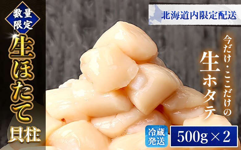 【北海道内限定配送！生ほたて】《期間限定》北海道雄武産 生玉ほたて1ｋｇ　500ｇ×2 塩水パック（冷蔵） | 北海道内限定配送 生玉ホタテ 生ホタテ　大粒 ホタテ 帆立 ほたて 新鮮 500g×2 1ｋg 生 冷蔵 塩水パック オホーツク 北海道 雄武町 雄武 刺身【0713303】