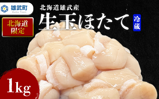 【北海道限定！】北海道雄武産 生玉ほたて1ｋｇ　500ｇ×2塩水パック（冷蔵）【07133】