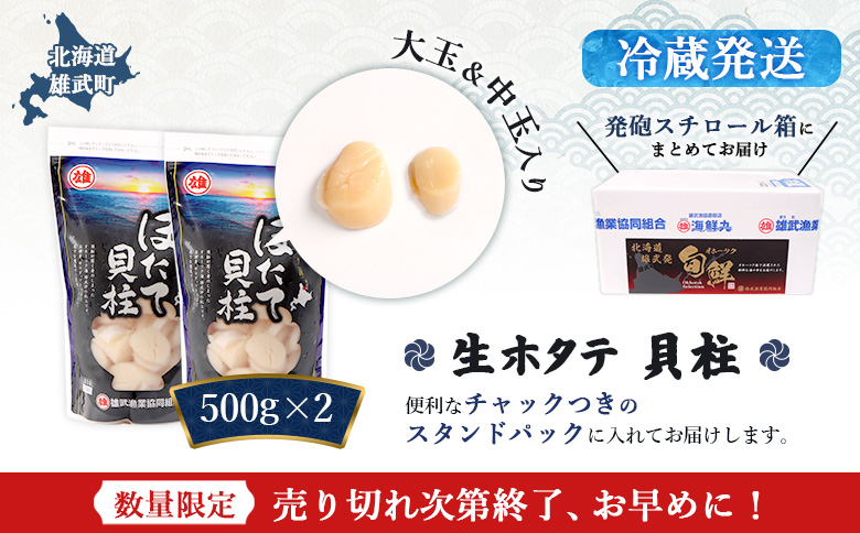 【北海道内限定配送！生ほたて】《期間限定》北海道雄武産 生玉ほたて1ｋｇ　500ｇ×2 塩水パック（冷蔵） | 北海道内限定配送 生玉ホタテ 生ホタテ　大粒 ホタテ 帆立 ほたて 新鮮 500g×2 1ｋg 生 冷蔵 塩水パック オホーツク 北海道 雄武町 雄武 刺身【0713303】