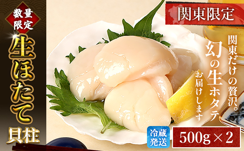 【関東限定！生ほたて】《期間限定》北海道雄武産 生玉ほたて1kg 500g×2塩水パック（冷蔵） | 関東限定 生玉ホタテ 生ホタテ 大粒 ホタテ 帆立 ほたて 新鮮 500g×2 1kg 生 冷蔵 塩水パック オホーツク 刺身 魚貝 魚介 海鮮 雄武漁業協同組合 お取り寄せ 北海道 雄武町 雄武【0713203】