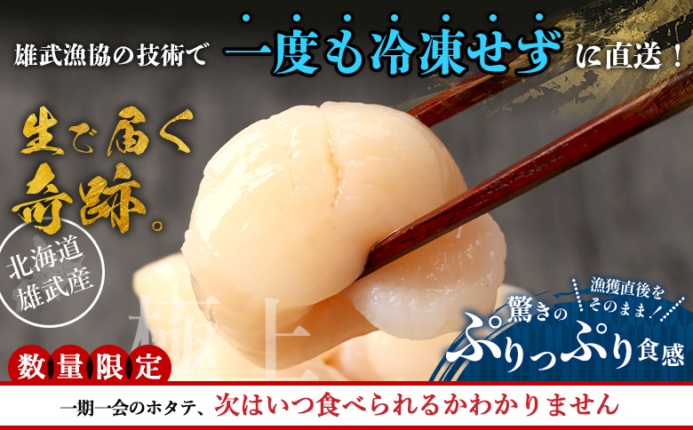 ã颿±éå®ïŒçã»ããŠããæééå®ãåæµ·ééæŠç£ ççã»ããŠ300gÃ2 å¡©æ°Žããã¯(å·èµ) | é
éå°åéå® çãã¿ã æ°é®® ãã¿ã åžç« ã»ããŠ å€§ç² ç çç å·èµ å¡©æ°Žãã㯠塩氎 æªå·å ãªããŒã㯠ãªããŒãã¯ç£ ãªã³ã©ã€ã³ åºèº« éè² éä» æµ·é®® æµ·ç£ æµ·ç£ç© éä»é¡ éæŠæŒæ¥ååçµå ãåãå¯ã åæµ·é éæŠçº éæŠã0715102ã