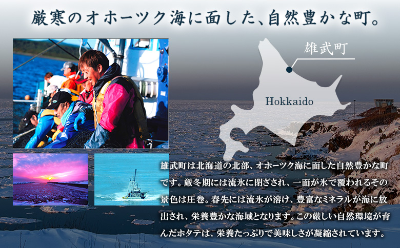 åæµ·ééæŠçºç£ã»ããŠè²æ± äžå°æ··å 200gÃ3 (å·å) 䜿ãåããã㯠| ãµãããšçŽçš åæµ·é éæŠ ãã¿ã åžç« ã»ã㊠å°ç² äžç² å€§ç² 200gÃ3ã600ïœ å·å ãªããŒã㯠ãªããŒãã¯ç£ åºèº« éè² éä» æµ·é®® æµ·ç£ æµ·ç£ç© éä»é¡ ãåãå¯ã ã¯ã³ã¹ããã ãã€ããŒãž éæŠæŒæ¥ååçµåã0713404ã