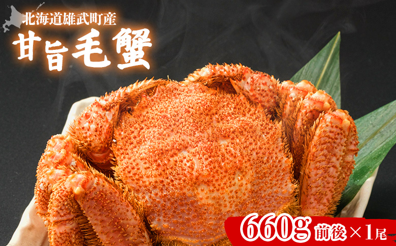 【北海道雄武町産】やわらか殻の甘旨毛蟹 660g前後1尾 | 毛ガニ カニ かに 蟹 殻付き 浜茹で ジューシー 海産物 海鮮 冷蔵 鮮度直送 柔らかい 食べやすい 蟹料理 ギフト おすすめ 贈答用 鮮魚 食材 海の幸 お取り寄せ 北海道 雄武町 雄武【07181】