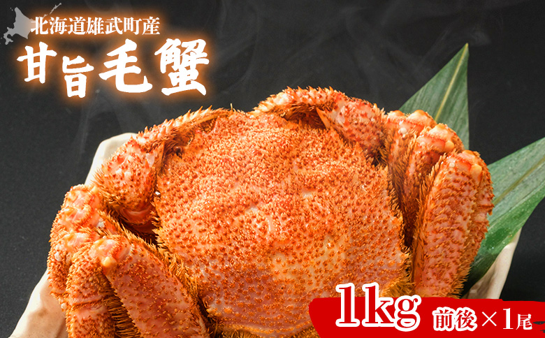 【北海道雄武町産】やわらか殻の甘旨毛蟹 1kg前後1尾 | 毛ガニ カニ かに 蟹 殻付き 浜茹で ジューシー 海産物 海鮮 冷蔵 鮮度直送 柔らかい 食べやすい 蟹料理 ギフト おすすめ 贈答用 鮮魚 食材 海の幸 お取り寄せ 北海道 雄武町 雄武【07183】