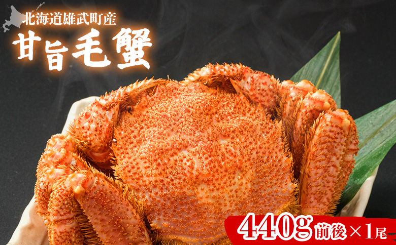 【北海道雄武町産】やわらか殻の甘旨毛蟹 440g前後×1尾 | 毛ガニ カニ かに 蟹 殻付き 浜茹で ジューシー 海産物 海鮮 冷蔵 鮮度直送 柔らかい 食べやすい 蟹料理 ギフト おすすめ 贈答用 鮮魚 食材 海の幸 お取り寄せ 北海道 雄武町 雄武【07185】