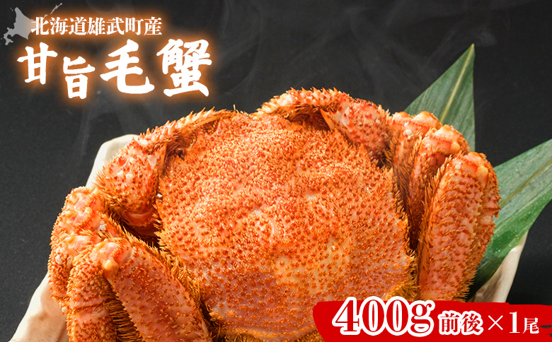 【北海道雄武町産】やわらか殻の甘旨毛蟹 400g前後×1尾 | 毛ガニ カニ かに 蟹 殻付き 浜茹で ジューシー 海産物 海鮮 冷蔵 鮮度直送 柔らかい 食べやすい 蟹料理 ギフト おすすめ 贈答用 鮮魚 食材 海の幸 お取り寄せ 北海道 雄武町 雄武【07186】