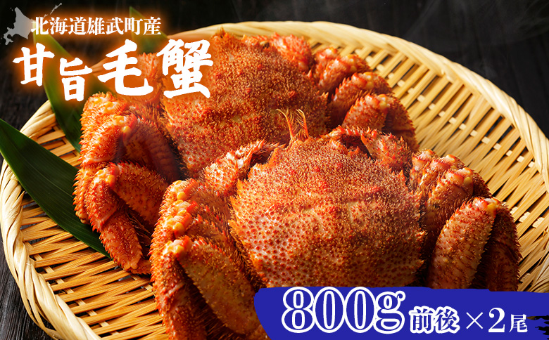 【北海道雄武町産】やわらか殻の甘旨毛蟹 800g前後×2尾 | 毛ガニ カニ かに 蟹 殻付き 浜茹で ジューシー 海産物 海鮮 冷蔵 鮮度直送 柔らかい 食べやすい 蟹料理 ギフト おすすめ 贈答用 鮮魚 食材 海の幸 お取り寄せ 北海道 雄武町 雄武【07187】