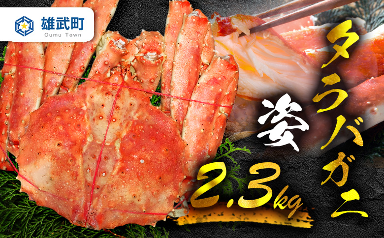 《数量限定》北海道オホーツク産 タラバガニ姿　2.3ｋｇ | タラバガニ カニ 蟹 タラバ たらば蟹 海鮮 魚介 海の幸 おつまみ 晩酌 夜ご飯 贅沢 ご褒美 オホーツク産 北海道産　お取り寄せ 北海道 雄武町 雄武【0719101】