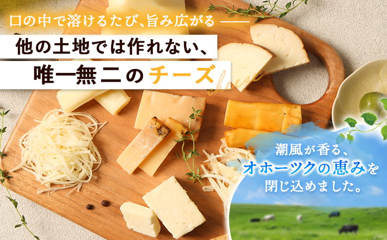 北海道雄武町産　チーズセット(スモークストリング70g　ミルクストリング70g×2　モッツァレラ90g　ハードグラス25g　イルフューム25g　モルディ25g)【0910101】