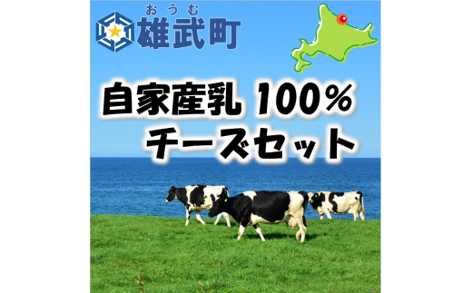 北海道雄武町産　ナチュラルチーズセット(スモークストリング70g×２　ミルクストリング70g×2　モッツァレラ90g×２)【09102】