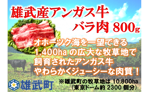 【月/30セット限り】北海道雄武町産　アンガス牛肉セット（冷凍）(アンガス牛バラ肉400g×2)【09115】