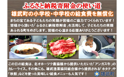 【月/20セット限り】北海道雄武町産　アンガス牛肉セット（冷凍）(アンガス牛肩ロース肉400g×2)【09116】