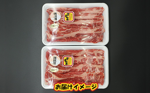 北海道雄武町産　牛肉セット（冷凍）(牛肩ロース肉500g×2)【09117】