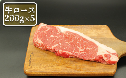 北海道雄武町産　牛肉セット（冷凍）(牛ロースステーキ200g×5)【09119】