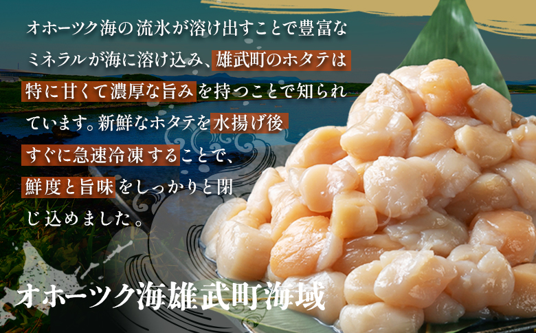 ほたて貝柱(ＢＣフレーク)2kg【1233604】