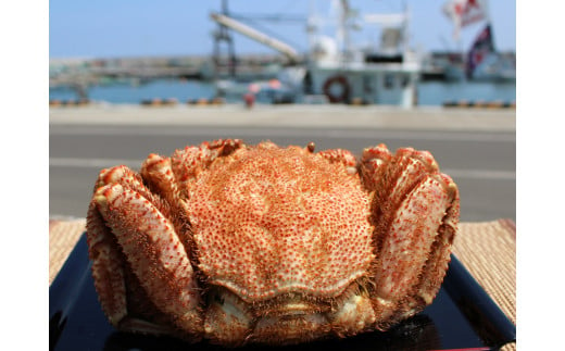 オホーツク産 特大 毛ガニ 冷凍 800ｇ かに 蟹ミソ かにみそ 焼きがに かに鍋 北海道 ふるさと納税 雄武 雄武町【12404】