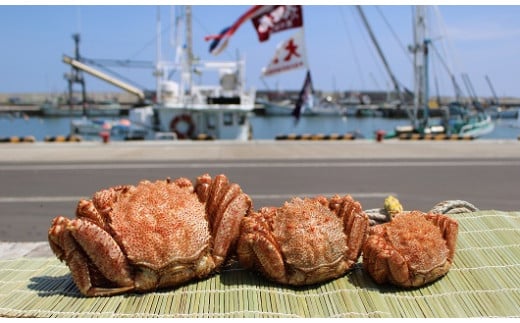 オホーツク産 オホーツク 毛がに 毛ガニ 毛蟹 蟹 カニ 900g 1尾 かに かにみそ カニみそ かに味噌 濃厚 北海道オホーツク産 海産物 海産 海鮮 魚介 魚貝 魚介類 冷凍 ふるさと納税 北海道 雄武町 雄武【1231603】