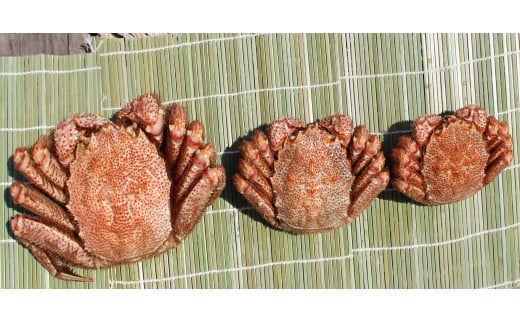 オホーツク産 オホーツク 毛がに 毛ガニ 毛蟹 蟹 カニ 900g 1尾 かに かにみそ カニみそ かに味噌 濃厚 北海道オホーツク産 海産物 海産 海鮮 魚介 魚貝 魚介類 冷凍 ふるさと納税 北海道 雄武町 雄武【1231603】