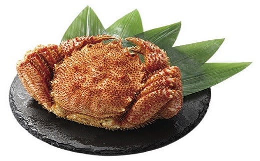 オホーツク産 オホーツク 毛がに 毛ガニ 毛蟹 蟹 カニ 900g 1尾 かに かにみそ カニみそ かに味噌 濃厚 北海道オホーツク産 海産物 海産 海鮮 魚介 魚貝 魚介類 冷凍 ふるさと納税 北海道 雄武町 雄武【1231603】