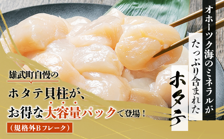 北海道雄武町産　ほたて貝柱(冷凍)　Bフレーク 1kg[訳あり品] ｜ ほたて 帆立 ホタテ ホタテ貝柱 貝柱 刺身 Bフレーク 1kg 訳あり 訳ありホタテ 訳あり品 冷凍 ふるさと納税 北海道 雄武町 雄武【1235602】