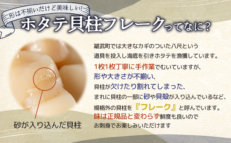 北海道雄武町産　ほたて貝柱(冷凍)　Bフレーク 1kg[訳あり品] ｜ ほたて 帆立 ホタテ ホタテ貝柱 貝柱 刺身 Bフレーク 1kg 訳あり 訳ありホタテ 訳あり品 冷凍 ふるさと納税 北海道 雄武町 雄武【1235602】