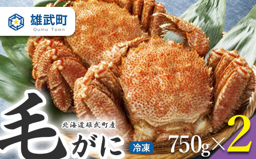 【北海道雄武町産】　毛がに（冷凍）(750g×2)【1237101】