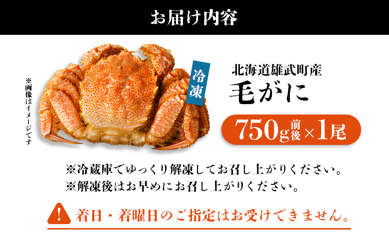 オホーツク産 オホーツク 毛がに 毛ガニ 毛蟹 蟹 カニ 750g 1尾 かに かにみそ カニみそ かに味噌 濃厚 北海道オホーツク産 海産物 海産 海鮮 魚介 魚貝 魚介類 冷凍 ふるさと納税 北海道 雄武町 雄武【1240601】