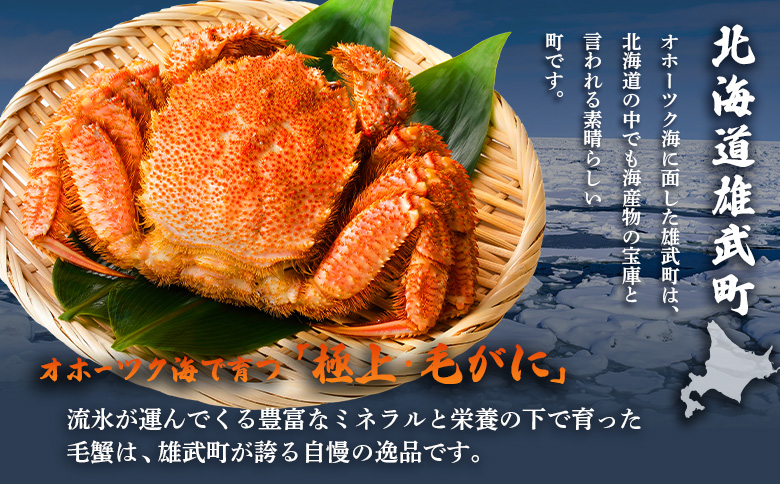 オホーツク産 オホーツク 毛がに 毛ガニ 毛蟹 蟹 カニ 750g 1尾 かに かにみそ カニみそ かに味噌 濃厚 北海道オホーツク産 海産物 海産 海鮮 魚介 魚貝 魚介類 冷凍 ふるさと納税 北海道 雄武町 雄武【1240601】