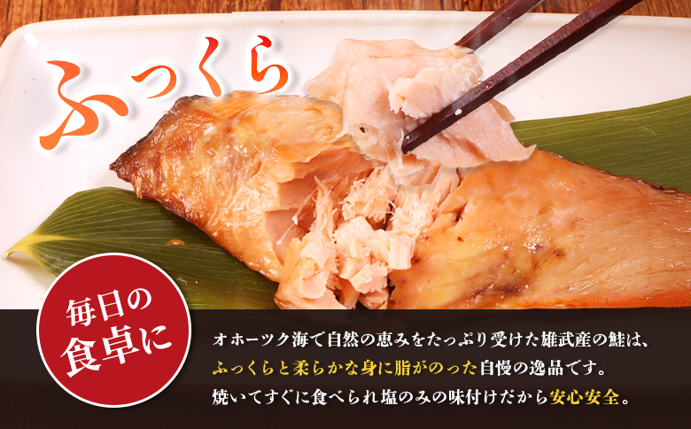 åæµ·éç£ æ°å·»é®å身1kg äžæã | ãµãããšçŽçš åæµ·é éæŠ é® ãµã± ãã ã·ã£ã± æ°å·»é® éä»é¡ æµ·é®® é åã身 å身 ãµããã äžæã å¡©é® ããã ãåŒåœ ã飯ã®ãäŸ ãåãå¯ã ã¯ã³ã¹ããã ãã€ããŒãž éæŠæ°Žç£å å·¥æ¥ååçµå éæŠçºã12437ã