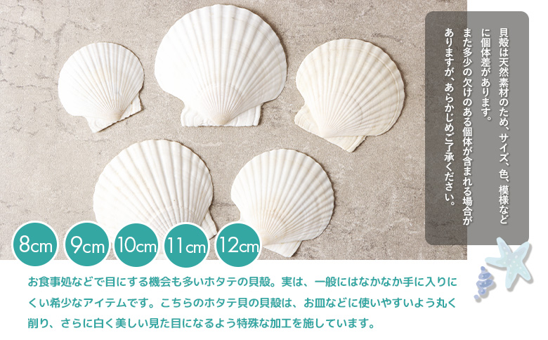 ほたて貝殻詰め合わせ |  ほたての貝殻 ホタテ貝殻 貝殻 詰め合わせ 装飾 お皿 インテリア 盛り付け クラフト アクセサリー ハンドメイド 工作 材料 お取り寄せ 北海道 雄武町 雄武【13001】