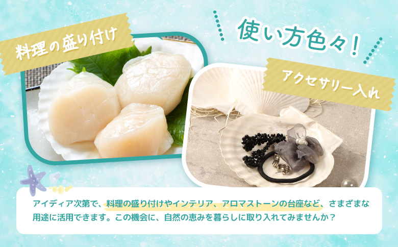 ほたて貝殻詰め合わせ |  ほたての貝殻 ホタテ貝殻 貝殻 詰め合わせ 装飾 お皿 インテリア 盛り付け クラフト アクセサリー ハンドメイド 工作 材料 お取り寄せ 北海道 雄武町 雄武【13001】