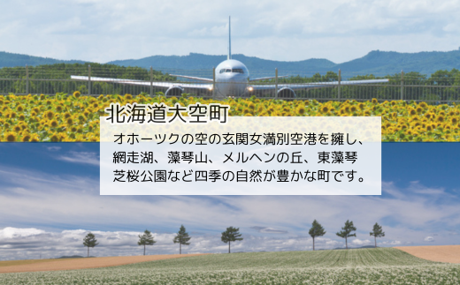 【期間限定】北海道大空町産じゃがいも（スノーマーチ）6kg OSA047