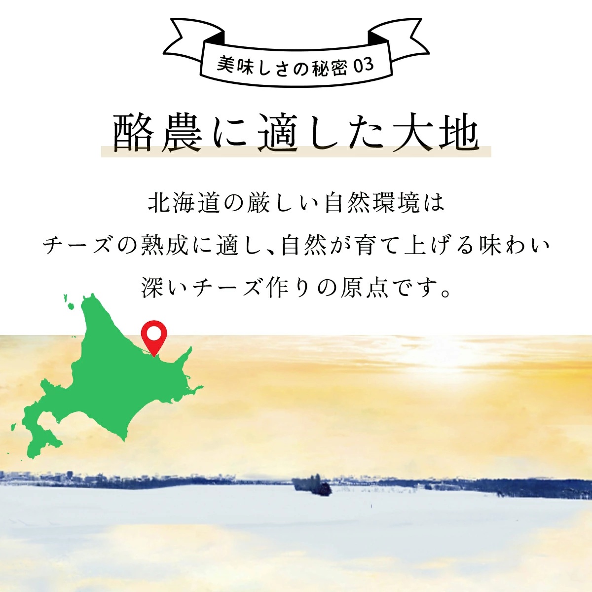 ひがしもこと乳酪館 チーズ詰め合わせセット 10種 OSA069