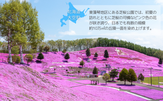 縲仙郁。御コ育エ縲醍脂縺ュ縺 M繧オ繧、繧コ 20kg 螟ァ遨コ逕コ逕」シ2026蟷エ10譛井ク頑流繧医j逋コ騾シ OSR010