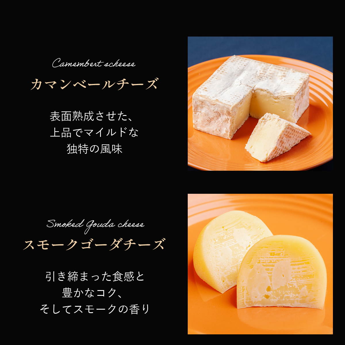 ひがしもこと乳酪館 チーズ詰め合わせセット 10種 OSA069
