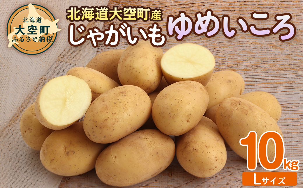 【先行予約】じゃがいも（ゆめいころ） Lサイズ 10kg 大空町産（2026年10月以降順次発送） OSR011