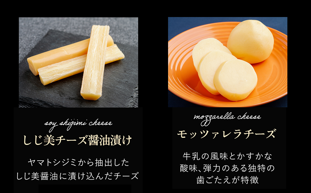 繝√シ繧コ繧ェ繝シ繝ォ繧ケ繧ソ繝シ繧コ縺願ゥヲ縺励そ繝繝 OSA006