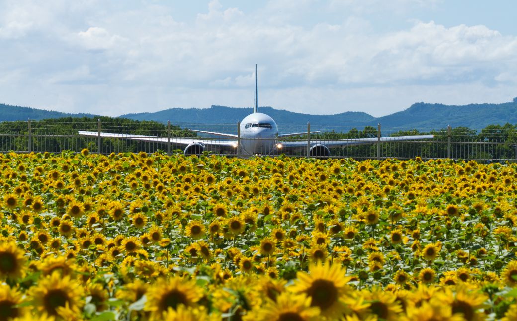 ãåæµ·é倧空çºãæ
è¡å²åŒã¯ãŒãã³åž45,000åå OST004